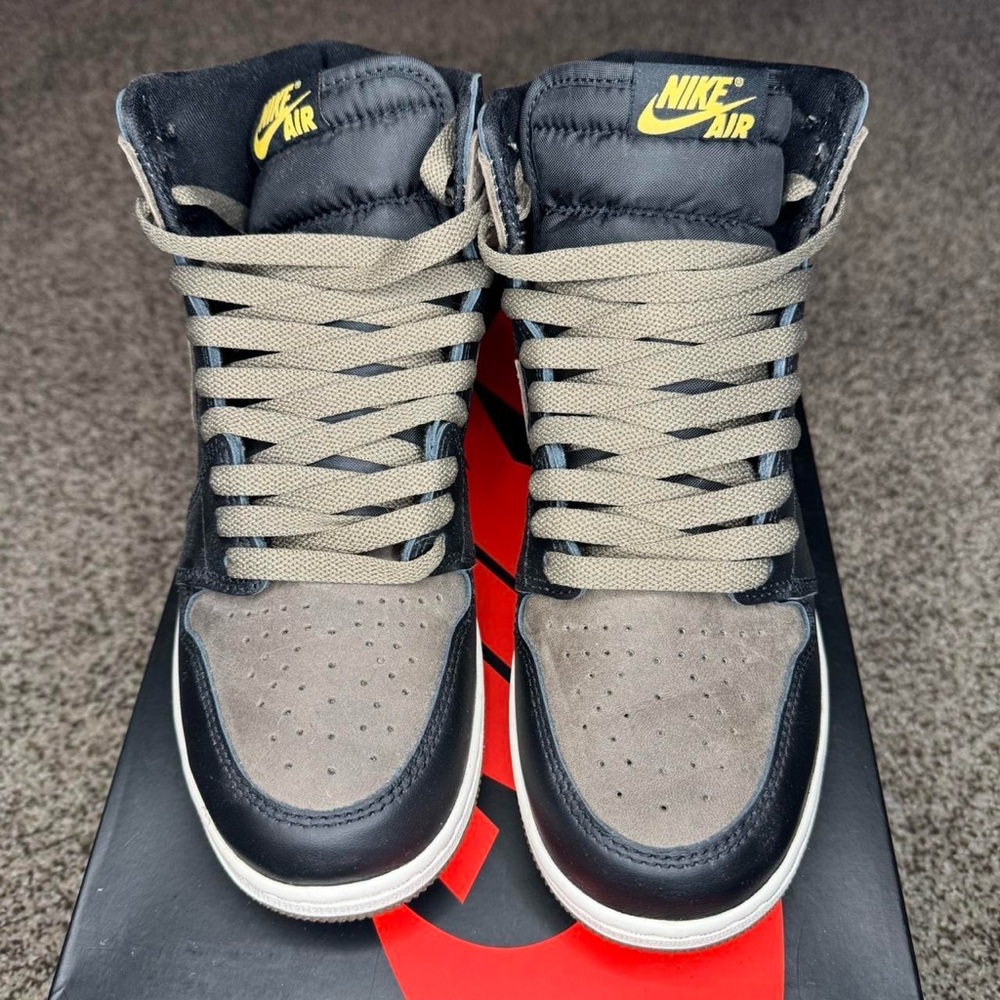 Palomino Jordan 1 high